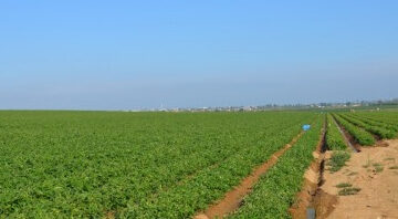 58vva los quintos zona de 360x198