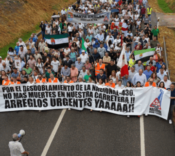 Web PLATAFORMA N430 junio 2025 360x320