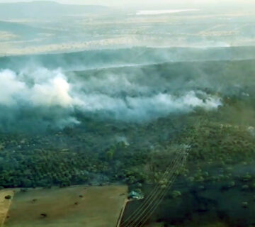 Web incendio tallarrubias junio 2025 360x320