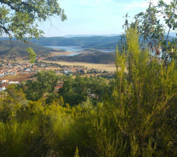 Web siberia extremena junio 2025 360x320