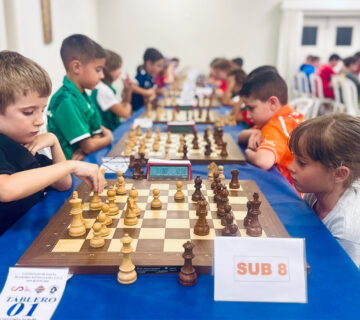 Web dep db ajedrez julio 2025 360x320