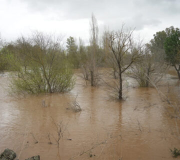 Web vva inundaciones feb 2026 360x320
