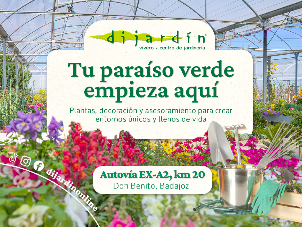 Dijardin anuncio version definitiva