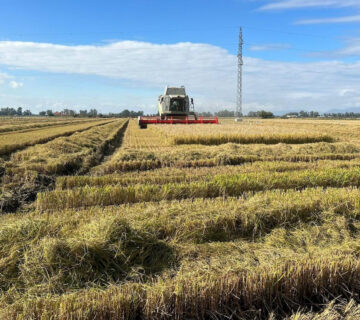 Web correo upa uce 29 abril 2026 360x320