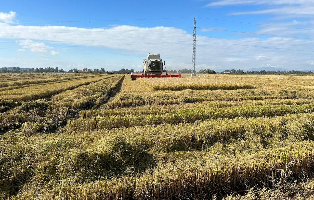 Web correo upa uce 29 abril 2026