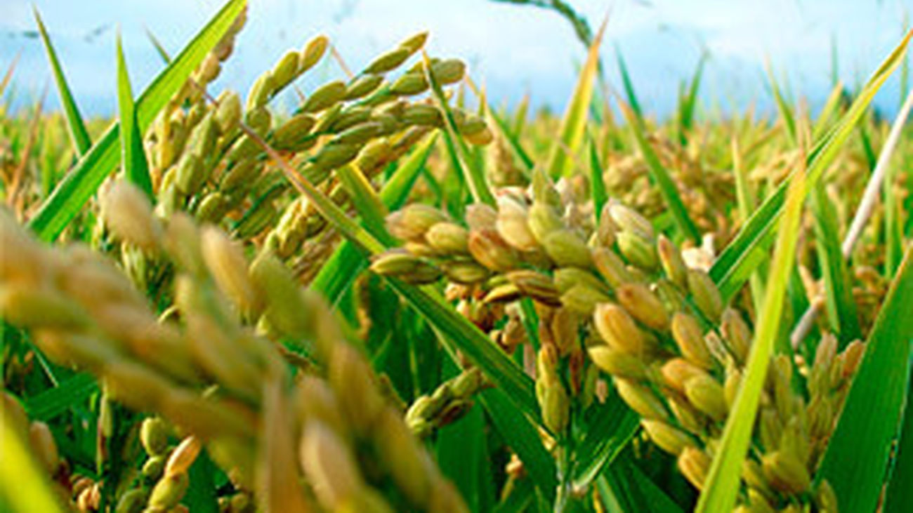 Web correo la union 20 mayo 2026