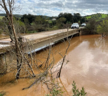 Web pp presa golondron mayo 2026 360x320