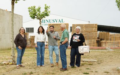 web plena inclusión db abril 2026